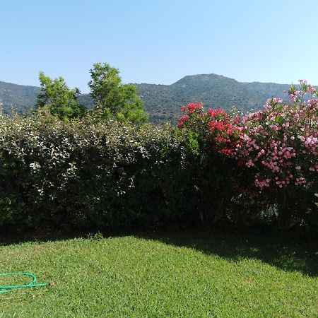 Ou Souleou Appartement Bormes-les-Mimosas Buitenkant foto