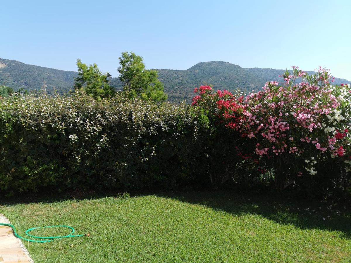 Ou Souleou Appartement Bormes-les-Mimosas Buitenkant foto
