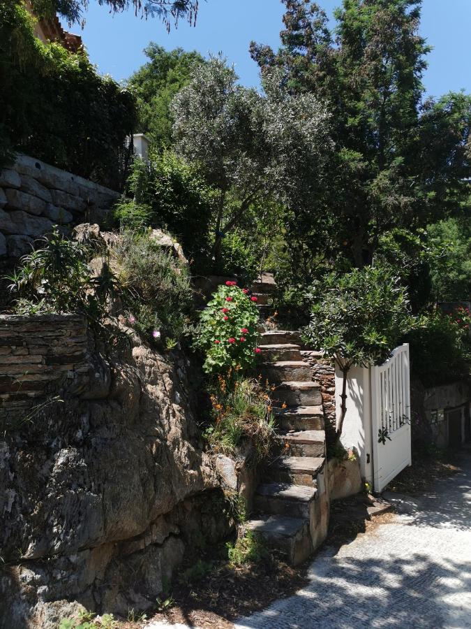 Ou Souleou Appartement Bormes-les-Mimosas Buitenkant foto