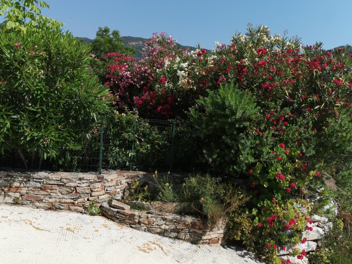Ou Souleou Appartement Bormes-les-Mimosas Buitenkant foto